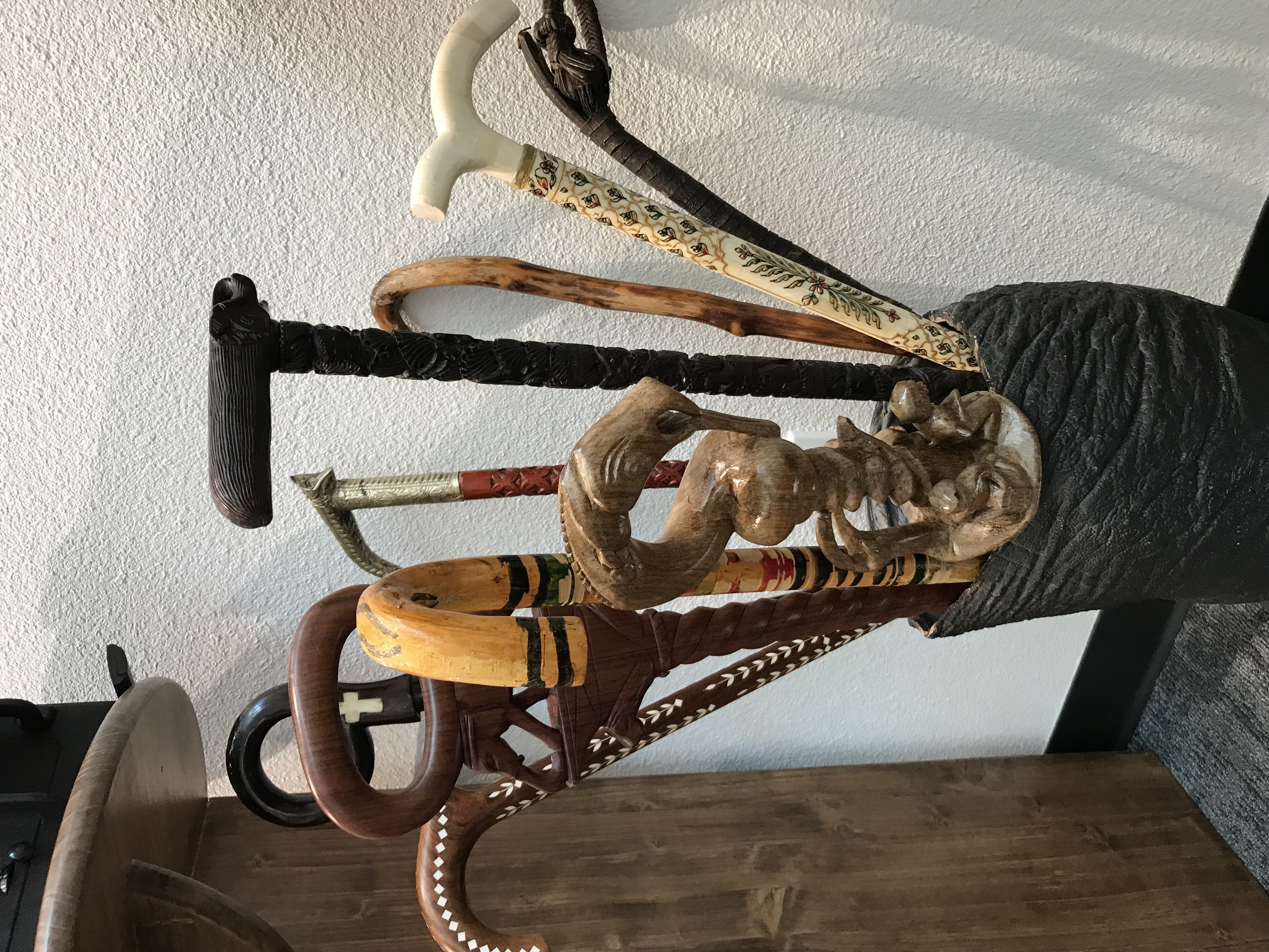 Ten Canes from Ziden's Collection